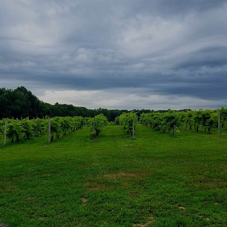 round-house-farm-stand-locally-grown-fresh-picked-produce