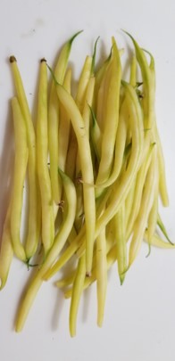 beans2