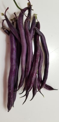 beans3