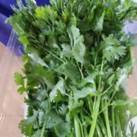 Greens - Kale - Image 2