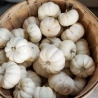 Pumpkins - Image 7